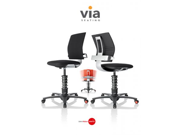 3Dee Active-Office-Chair